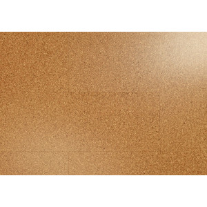 Пробковый пол Wicanders Cork Go Moment GA01002